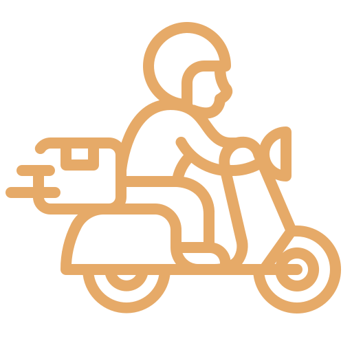 Rapid Delivery Icon